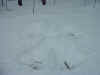 snow-brentsnowangel2.JPG (87420 bytes)