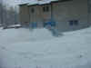 snow-roost4.JPG (91653 bytes)