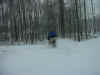 snowroost.JPG (103717 bytes)